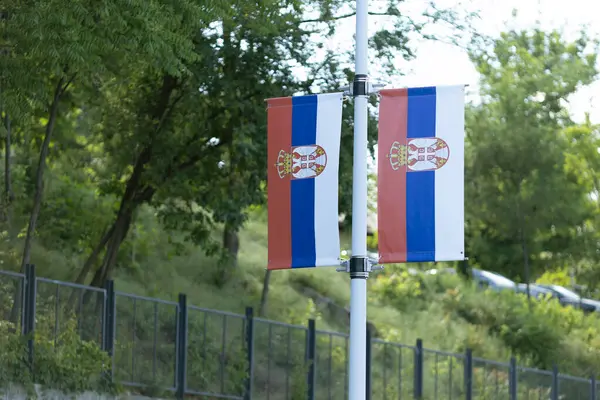 Güneşli bir günde yeşil bir açık havada bir direkte Sırbistan bayrakları sergilendi