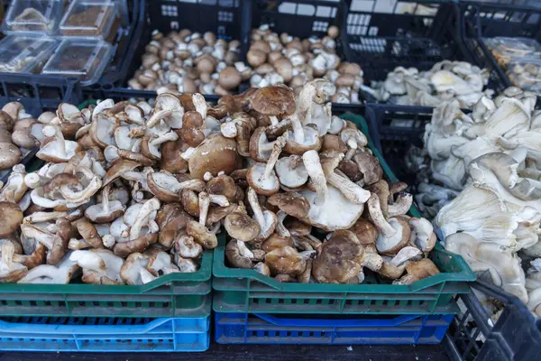 Çeşitli taze mantarlar içeren mantar pazarı görüntüsü