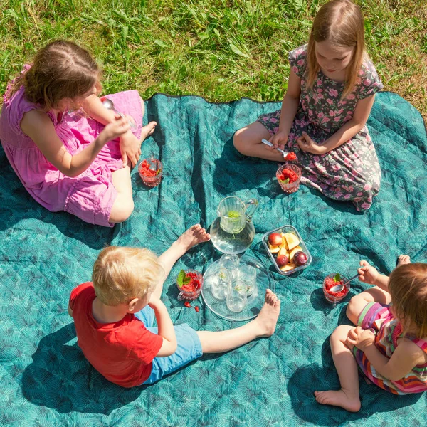 Widok Grupy Dzieci Siedzących Kocu Jedzących Mus Jagodowy Cieszących Się — Zdjęcie stockowe