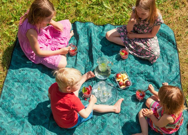 Top View Group Children Sitting Blanket Eating Berry Mousse Enjoying — Stock Photo, Image
