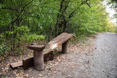 Kamu parkında kasıtlı olarak tahtadan yapılmış tezgah tahribat - vandalizm kavramı