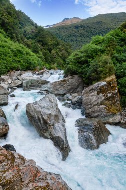 Haast Nehri 'nin süt mavisi buzul suları Yeni Zelanda' nın Güney Adası 'ndaki Hast Vadisi' nin kapısında.