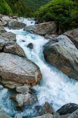 Haast Nehri 'nin süt mavisi buzul suları Yeni Zelanda' nın Güney Adası 'ndaki Hast Vadisi' nin kapısında.