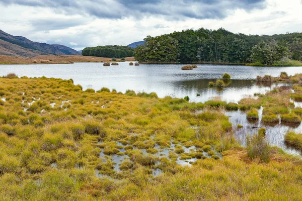 Mavora Lakes protected area, a part of Te Wahipounamu World Heritage Area in Southland, South Island of New Zealand