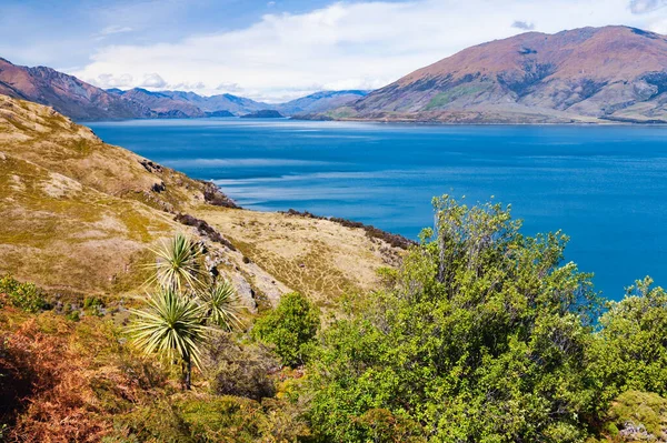 Wanaka Gölü, Yeni Zelanda 'nın güneyindeki Otago bölgesinde popüler bir tatil beldesi.