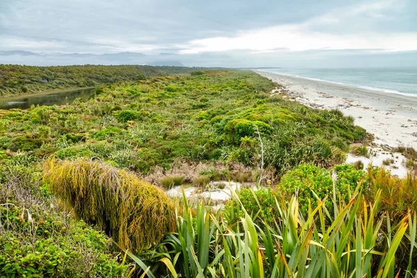 ニュージーランド南島の西海岸のタウピカカ海洋保護区は 人類の定住前に沿岸の風景がどのように見えたかに似ています — ストック写真