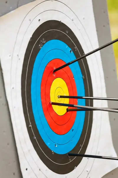 Standard archery target pierced by arrows with one hit the bullseye
