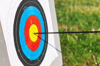 Standart okçuluk hedefi tek okla isabet aldı.