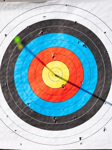 Standard archery target with one arrow finally hit the bullseye