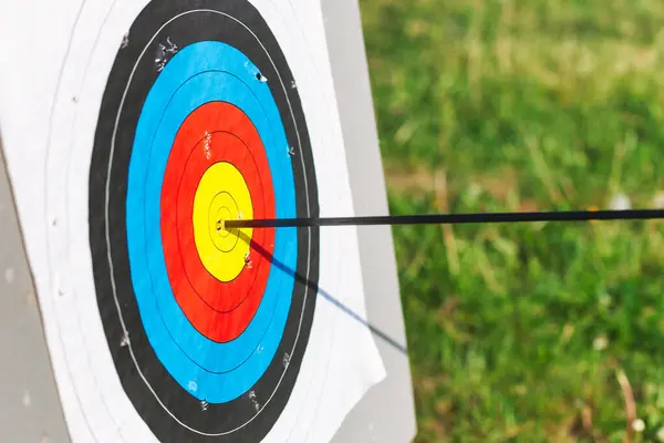 Standard archery target with one arrow hit the bullseye