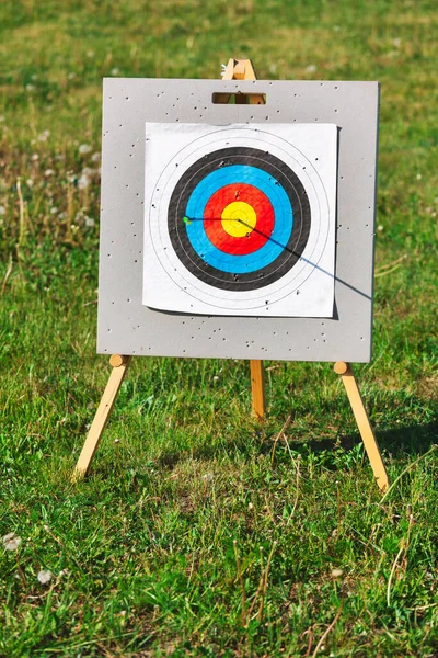 Standard archery target with one arrow finally hit the bullseye