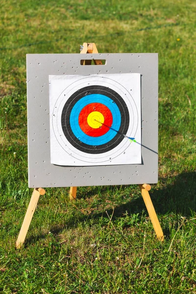 Standard Archery Target One Arrow Hit Bullseye Royalty Free Stock Images