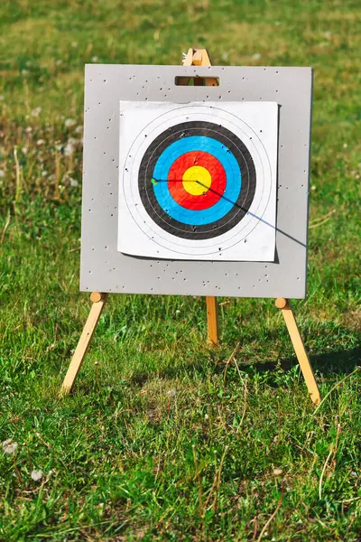 Standard Archery Target One Arrow Finally Hit Bullseye Stock Picture