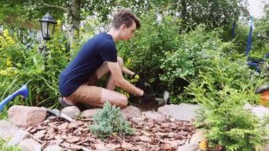 Genç çocuk bahçıvanlık yapıyor. Alp kayası bahçesi yetiştiriyor.