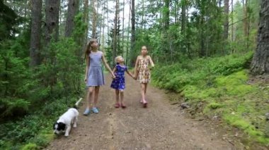 Yazlık elbiseler giyen üç küçük kız yaz günü bir köpekle ormanda el ele yürürken - yaz çocuk aktiviteleri konsepti