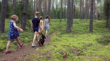 Dört küçük kız yaz ormanı boyunca bir köpekle yürüyüş yaparken eğleniyor. Yaz tatili konsepti.