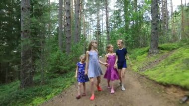 Yaz ormanı boyunca bir köpekle el ele yürüyen dört küçük kız - yaz çocuk aktiviteleri konsepti