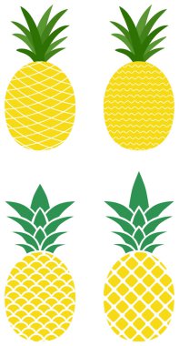 Taze ananas çizimleri, beyaz arka planda izole edilmiş. ZIP dosyası EPS, JPEG ve PNG biçimlerini içerir.