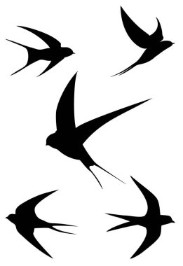 Uçan kırlangıç kuşları silueti çizimleri, beyaza izole edilmiş. ZIP dosyası EPS, JPEG ve PNG biçimlerini içerir