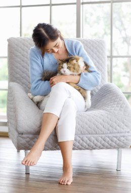 Milenyum Asyalı genç bayan sahibi rahat koltukta oturmuş gülümsüyor kucaklıyor sarılıyor, sevimli, uzun saçlı, evcil, tüylü, safkan kediciğe sevgisini gösteriyor.