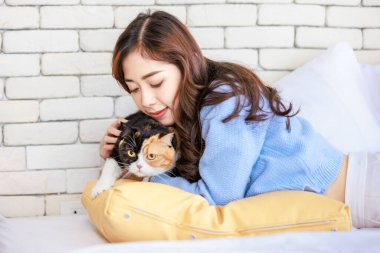 Milenyum Asyalı genç, nazik, neşeli bayan sahibi yastıkların üzerine uzanıyor kanepe yatağı sarılıyor sevimli, evcil kedi yavrusuna sarılıyor evdeki evcil, tüylü kedicik, evcil kedicik arkadaşı oturma odasında..