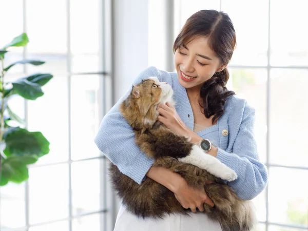 stock image Millennial Asian young female owner standing smiling holding showing love playing with cute fat tabby long hair little domestic kitty furry purebred pussycat pet friend in arms in living room at home.