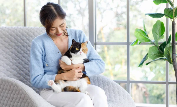 Stock image Millennial Asian young female owner sitting on cozy armchair smiling holding hugging cuddling showing love to cute fat tabby tricolor short hair little domestic furry purebred pussycat in arms.