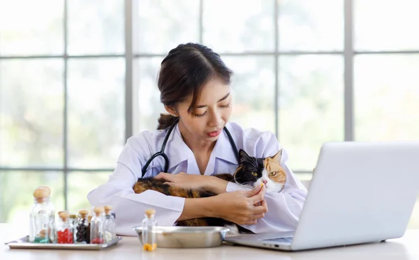 Millennial Asian Young Professional Female Veterinary Sitting Working Office Table — Stock Photo, Image