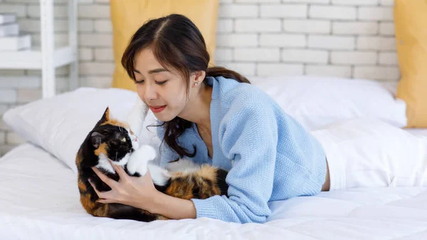 Millennial Asian Young Kindly Cheerful Female Owner Laying Lying Pillows — Stock Photo, Image