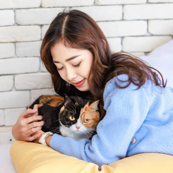 stock image Millennial Asian young kindly cheerful female owner laying lying down on pillows cozy sofa bed hugging cuddling cute little domestic kitten tricolor furry pussycat pet friend in living room at home.