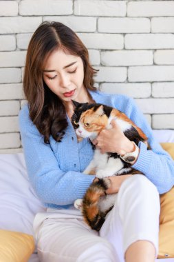 Milenyum Asyalı genç, nazik, neşeli bayan sahibi rahat kanepe yatağında yaslanmış, sevimli, evcil kedi yavrusuna sarılıyor yatak odasında üç renkli tüylü kedicik evcil kedi dostu..