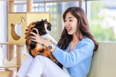 Milenyum Asyalı neşeli, genç bayan sahibi gülümseyen, sarılan, üç renkli, sevimli, kısa saçlı kedicik evdeki ahşap kedi kulübesinde, kanepede kanepede oturuyor..