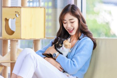 Milenyum Asyalı neşeli, genç bayan sahibi gülümseyen, sarılan, üç renkli, sevimli, kısa saçlı kedicik evdeki ahşap kedi kulübesinde, kanepede kanepede oturuyor..