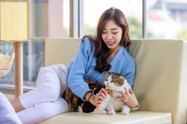 Milenyum Asyalı genç ve nazik bayan sahibi rahat bir kanepede oturmuş gülümsüyor kucağında iki kısa saçlı sevimli evcil kedicik tüylü kedicik evcil kedicik dostu kucaklıyor..