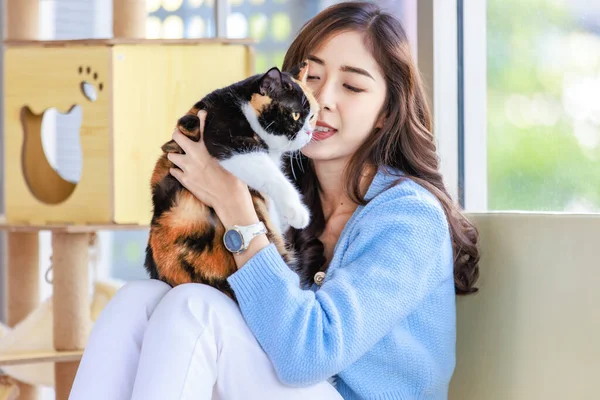 stock image Millennial Asian cheerful young female owner sitting smiling holding hugging cuddling tricolor cute little short hair pussycat on sofa couch near wooden cat tower house box in living room at home.