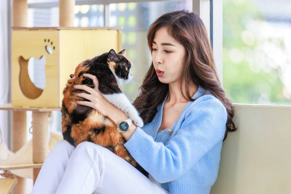 stock image Millennial Asian cheerful young female owner sitting smiling holding hugging cuddling tricolor cute little short hair pussycat on sofa couch near wooden cat tower house box in living room at home.