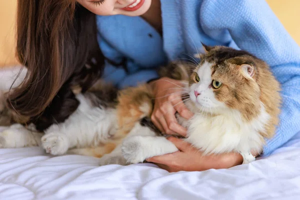 千年のアジアの若いです親切に陽気な女性の所有者に座ってベッドの上に持っています巨大抱っこショー愛とともに長い髪かわいいです国内の子猫毛皮の猫ペット友人オン毛布 — ストック写真