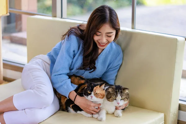Millennial Asian Young Kindly Cheerful Female Owner Sitting Cozy Sofa — Stock Photo, Image