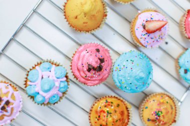 Yakın çekim üst manzara stüdyosu ev yapımı kek rengarenk ev yapımı kekler ızgara dekorasyonu üzerine çikolatalı kurabiyeler dilimlenmiş taze organik çilek ve çırpılmış krema..