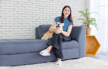 Asyalı genç ve güzel bir kadının portresi mutlu bir gülümseme ve kanepede oturup komik hayvanlar oynayan şirin bir köpek yavrusu, yaşam tarzını benimseyen bir konseme.