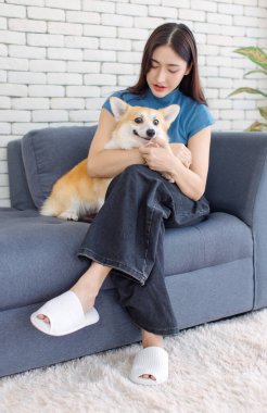 Asyalı genç ve güzel bir kadının portresi mutlu bir gülümseme ve kanepede oturup komik hayvanlar oynayan şirin bir köpek yavrusu, yaşam tarzını benimseyen bir konseme.