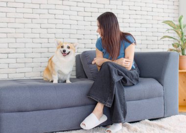 Asyalı genç ve güzel bir kadının portresi. Mutlu bir gülümseme. Kanepede oturup komik hayvanlar oynayan şirin bir Galli Corgi köpeğine bakıyor.
