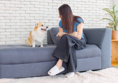 Asyalı genç ve güzel bir kadının portresi. Mutlu bir gülümseme. Kanepede oturup komik hayvanlar oynayan şirin bir Galli Corgi köpeğine bakıyor.