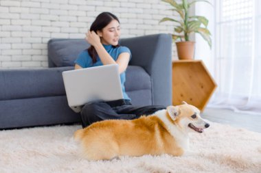 Yaklaş, sevimli Galli Corgi köpeği, Asyalı güzel bir kadınla mutlu bir gülümseme dizüstü bilgisayarda çalışıyor oturma odasında oturmuş, hayvancılık oynuyor, güven dolu, sevgi dolu, evcil bir arkadaşla eğleniyor..