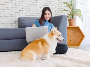 Yaklaş, sevimli Galli Corgi köpeği. Asyalı güzel bir kadınla kameraya bak. Mutlu gülümse. Dizüstü bilgisayarını kullan, oturma odasında otur..