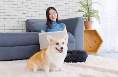 Yaklaş, sevimli Galli Corgi köpeği. Asyalı güzel bir kadınla kameraya bak. Mutlu gülümse. Dizüstü bilgisayarını kullan, oturma odasında otur..