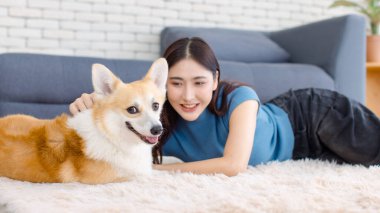 Asyalı genç ve güzel bir kadının mutlu gülümsemesi sevimli bir Galli Corgi köpeğine sarılırken evdeki konsept yaşam tarzında halı ve yerde hayvancılık oynarken.