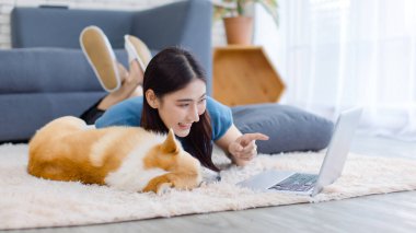 Asyalı genç ve güzel bir kadın mutlu bir gülümseme ile şirin bir Galli mantar köpeği halı zemininde yatar ev konseptinde dizüstü bilgisayar kullanır en iyi arkadaş hayvanlarla çalışır yaşam tarzını dengeler aşk evcil hayvanı
