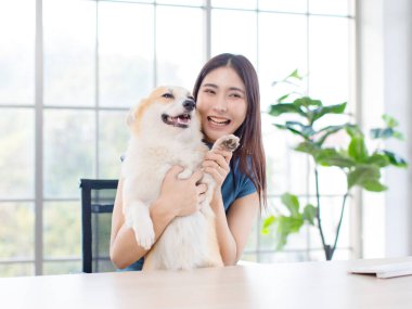 Asyalı genç ve güzel bir kadın mutlu bir gülümseme kucağında şirin bir Galli Corgi köpeği el sallayarak merhaba diyor evdeki bilgisayar kullanarak evcil hayvan en iyi arkadaş yaşam tarzını seviyor..