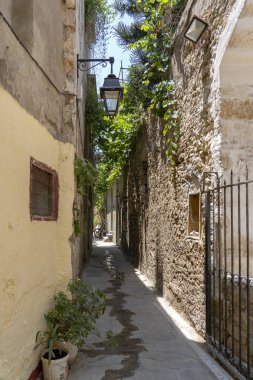 Yunanistan 'ın Girit kentindeki Eski Rethymno kasabasında çiçek saksıları ve bitkileriyle tipik bir Yunan sokağı